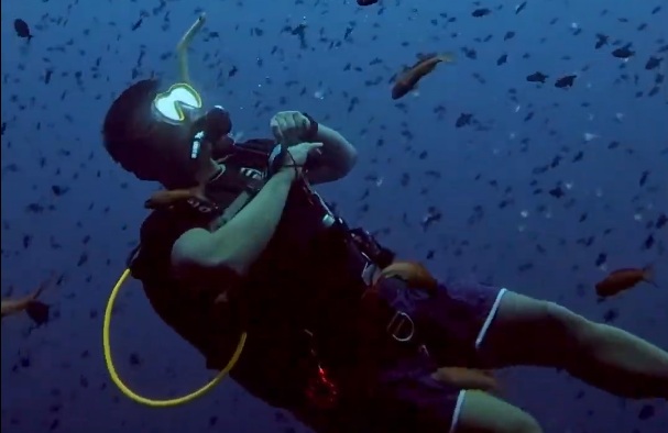 Refresher dive support and skills review